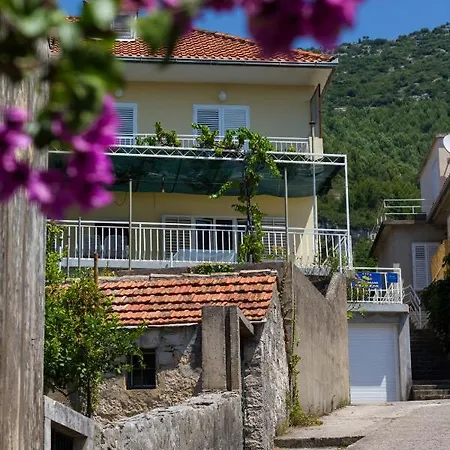 Peljesac -orsula