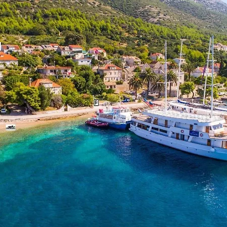 Daire Peljesac -orsula *