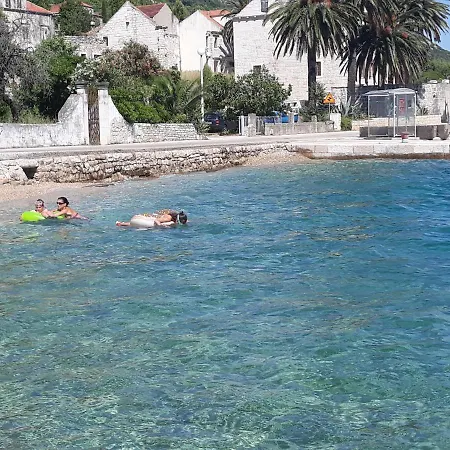 Peljesac -orsula * Kuciste