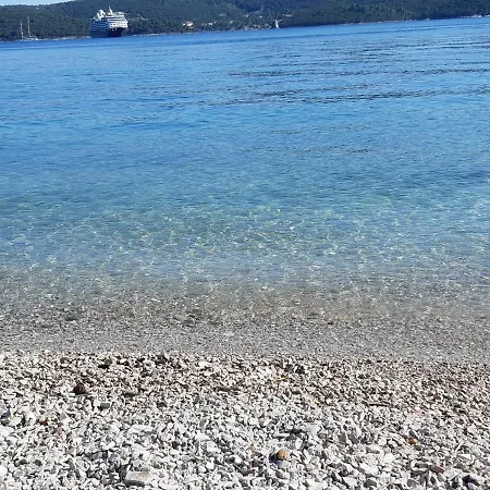 Peljesac -orsula
